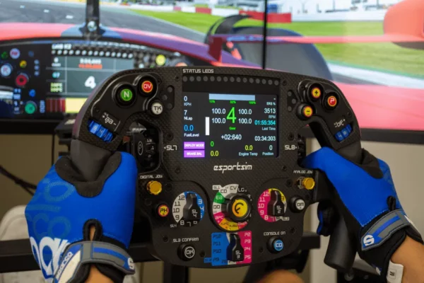 Formula Steering Wheel Series 3 - Image 3